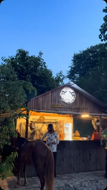 The lit cabin bar at dusk with the carved MEMC Wild Roots Farmhouse sign and a horse in front.