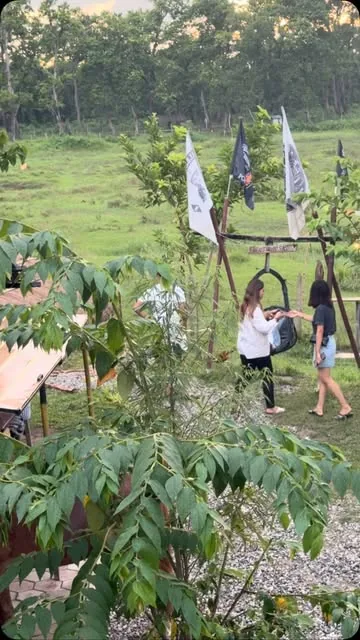 Hanging swing and pennant flags at the edge of the meadow.